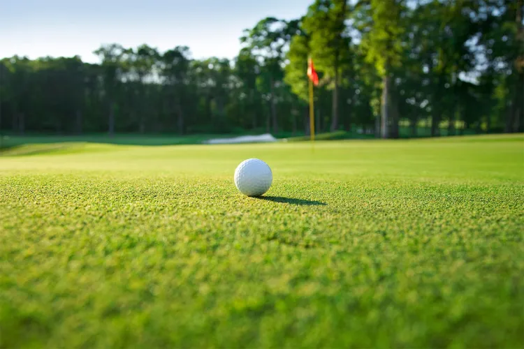 Close-up of a golf ball on a particularly green fairway during a golf vacation at the Grand Hotel Binz on Rügen.