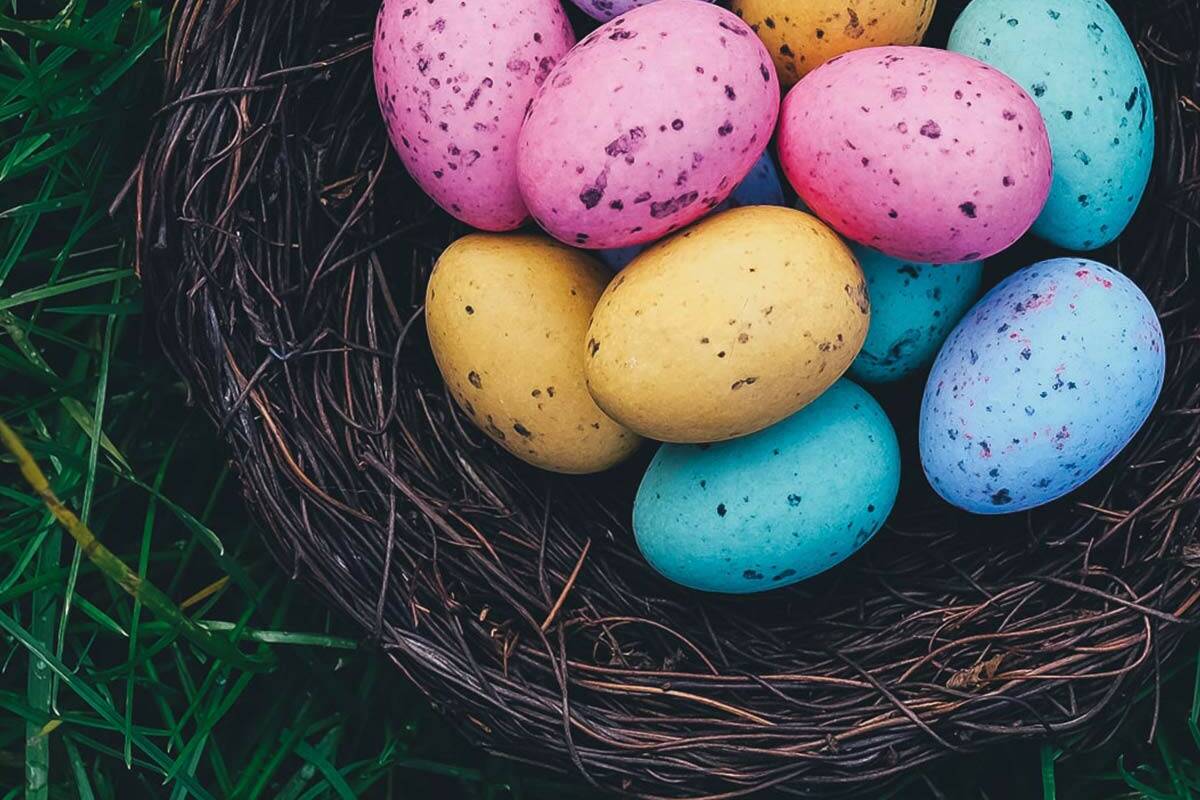 Zu Ostern bieten wir Ihnen auf Rügen ein aufregendes Osterprogramm.