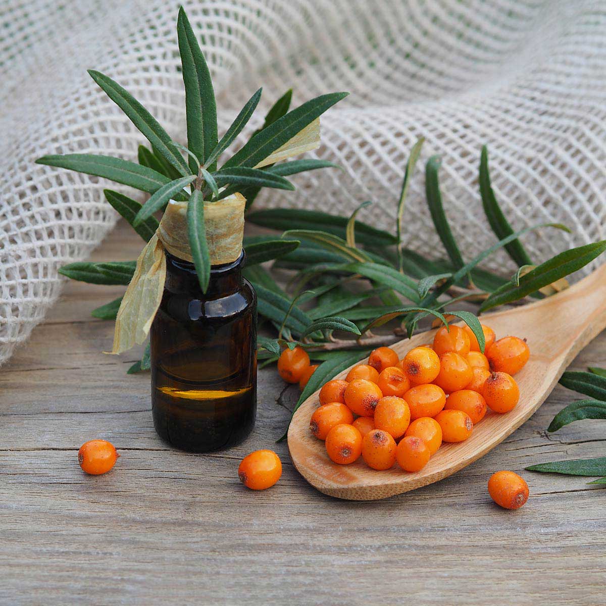 The popular sea buckthorn oil is available as a gift when booking the Premium Vitality Days with alkaline fasting at the Grand Hotel Binz.